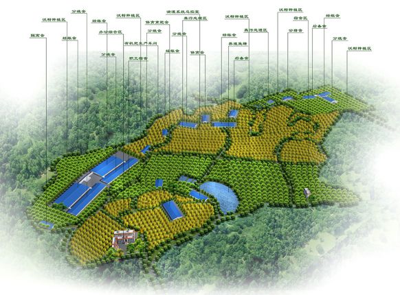 马山种养基地鸟瞰图